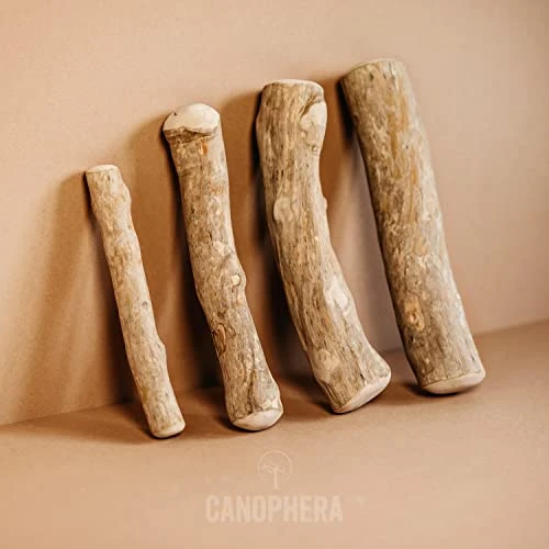 Canophera Coffee Wood Dog Chew Sticks For Regular Chewers - Size Small 2 Canophera Coffee Wood Dog Chew Sticks For Regular Chewers - Size Small - Image 2