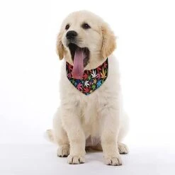 GENERIC Colorful Cannabiss Leaves On Black Dog Bandana,Dog Bandanas Triangle Bibs Scarf Accessories Minimal Head Cicumference -Dog Supplies Store 41eD0B7XCdL