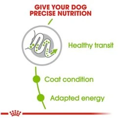 Royal Canin X-Small Adult Dry Dog Food, 2.5 Lb Bag 9 Royal Canin X-Small Adult Dry Dog Food, 2.5 Lb Bag -Dog Supplies Store 41eFixSpJFL