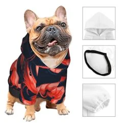 Shrimp Pattern Sea Food Pet Dog Costume Pets Wear Hoodies Fall Cloth Sweaters Sweatshirts Jacket Pullover 15 Shrimp Pattern Sea Food Pet Dog Costume Pets Wear Hoodies Fall Cloth Sweaters Sweatshirts Jacket Pullover -Dog Supplies Store 41ewe0kCROL