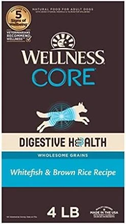 Wellness CORE Digestive Health Dry Dog Food With Wholesome Grains, Highly Digestible, For Dogs With Sensitive Stomachs, Made In USA With Real Chicken (Adult, 4-Pound Bag) -Dog Supplies Store 41fHx hqhiL. AC