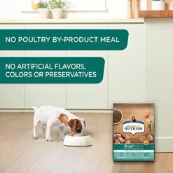 Rachael Ray Nutrish Bright Puppy Premium Natural Dry Dog Food, Real Chicken & Brown Rice Recipe, 14 Pound Bag (Packaging May Vary) -Dog Supplies Store 41fy5YRmlBS