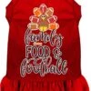 Family, Food, And Football Screen Print Dog Dress Red XXXL