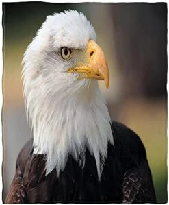 AOYEGO Colorful Macaroon Soft Throw Blanket Cookies Cream Dessert Sweet Food Bakery 30x40 Inch Blanket Flannel Warm Travel Blankets For Pet Dog Cat 19 AOYEGO Colorful Macaroon Soft Throw Blanket Cookies Cream Dessert Sweet Food Bakery 30x40 Inch Blanket Flannel Warm Travel Blankets For Pet Dog Cat -Dog Supplies Store 41gIkZcmoeL. AC