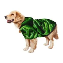 Cucumber Vegetables Green Food Dog Costume Large Pets Wear Hoodies Winter Large Cats Cloth Sweatshirts Jacket Pullover -Dog Supplies Store 41hWFJctgML