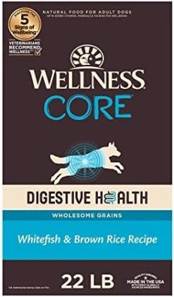Wellness CORE Digestive Health Dry Dog Food With Wholesome Grains, Highly Digestible, For Dogs With Sensitive Stomachs, Made In USA With Real Chicken (Adult, 4-Pound Bag) -Dog Supplies Store 41iNPA4JQzL. AC