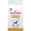 Royal Canin Veterinary Diet Gastrointestinal Low Fat LF Dry Dog Food 1.5 Lb