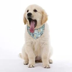 GENERIC Cute Sleeping Sheep Moon Clouds Dog Bandana,Dog Bandanas Triangle Bibs Scarf Accessories Minimal Head Cicumference -Dog Supplies Store 41ljQEyRONL