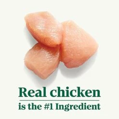 Nutro Natural Choice Adult Small Bites Dry Dog Food, Chicken & Brown Rice Recipe Dog Kibble, 5 Lb. Bag -Dog Supplies Store 41nkXDjiAHL