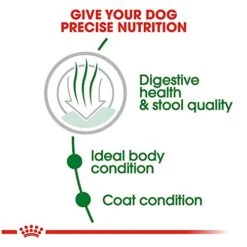 Royal Canin Small Indoor Adult Dry Dog Food, 2.5 Lb Bag 9 Royal Canin Small Indoor Adult Dry Dog Food, 2.5 Lb Bag -Dog Supplies Store 41oeXX7K8UL