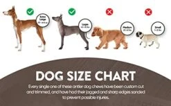 WhiteTail Naturals | Premium Deer Antlers For Dogs (Extra Large) | All Natural Antler Dog Chew | Naturally Shed, Long Lasting Chew Bone, Made In USA 12 WhiteTail Naturals | Premium Deer Antlers For Dogs (Extra Large) | All Natural Antler Dog Chew | Naturally Shed, Long Lasting Chew Bone, Made In USA -Dog Supplies Store 41pjvSLFS0L