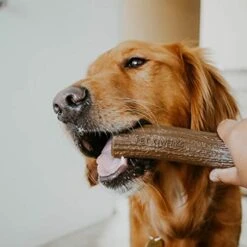 Pet Qwerks Nylon Antler Liver Flavor - Durable Dog Bones For Aggressive Chewers, Tough Nearly Indestructible Chew Proof Toys | Made In USA - For Large Breed Dogs, XL (ZA14) -Dog Supplies Store 41qXvrNEZbL