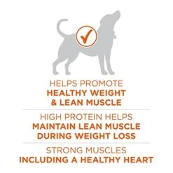 Purina ONE Plus Healthy Weight High-Protein Dog Food Dry Formula - 31.1 Lb. Bag -Dog Supplies Store 41tKJNnPLcL