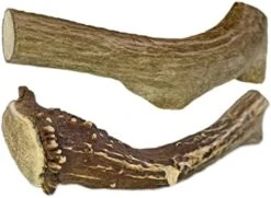 WhiteTail Naturals | 3 Pack Medium | Deer Antler Dog Chews | All Natural Organic Antlers For Dogs | Long Lasting Antler Bones For Dogs | Durable Antler Dog Toy -Dog Supplies Store 41uOBI9OSjL. AC