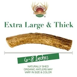 Deer Valley Dog Chews - XL & Robust 3 Pack (1lb) For Large Dogs (40-100 Lb) - All-Natural, Odor-Free Dental Treats For Healthy Teeth And Gums (Value Pack) 10 Deer Valley Dog Chews - XL & Robust 3 Pack (1lb) For Large Dogs (40-100 Lb) - All-Natural, Odor-Free Dental Treats For Healthy Teeth And Gums (Value Pack) -Dog Supplies Store 41v4p43I5EL