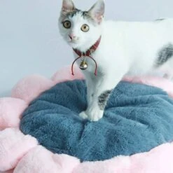 SONGBIRDTH Puppy Cat Round Flower Shape Cushion Plush Floor Mat Dog Carpet Pad Pet Supplies,Breathable Cotton Blend,Removable Easy To Clean Pink M 14 SONGBIRDTH Puppy Cat Round Flower Shape Cushion Plush Floor Mat Dog Carpet Pad Pet Supplies,Breathable Cotton Blend,Removable Easy To Clean Pink M -Dog Supplies Store 41vAn8fWHxL