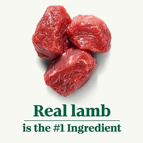 NUTRO NATURAL CHOICE Adult Dry Dog Food, Lamb & Brown Rice Recipe Dog Kibble, 40 Lb. Bag 4 NUTRO NATURAL CHOICE Adult Dry Dog Food, Lamb & Brown Rice Recipe Dog Kibble, 40 Lb. Bag - Image 4