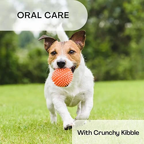 Pedigree Small Dog Food Dry Bundle | Includes 2 Bags Of Pedigree Dog Food Dry Complete Nutrition Adult Small Breed Chicken, Rice & Vegetables Flavor (3.5 LB) | Plus Paw Food Scoop! 2 Pedigree Small Dog Food Dry Bundle | Includes 2 Bags Of Pedigree Dog Food Dry Complete Nutrition Adult Small Breed Chicken, Rice & Vegetables Flavor (3.5 LB) | Plus Paw Food Scoop! - Image 2