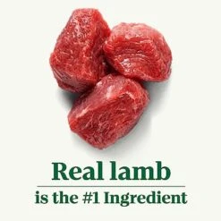 NUTRO NATURAL CHOICE Healthy Weight Adult Dry Dog Food, Lamb & Brown Rice Recipe Dog Kibble, 30 Lb. Bag -Dog Supplies Store 41xt8OLB6ZL