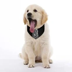 GENERIC Golden Retriever Dog Bandana,Dog Bandanas Triangle Bibs Scarf Accessories Minimal Head Cicumference -Dog Supplies Store 41zaqwBPvFL