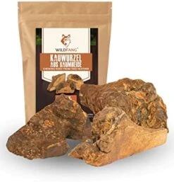 Wildfang® | Chewing Root Made From Tree Heather For Dogs, Dental Care & Masticatory Muscle Training, Natural Chew Toy…… 26 Wildfang® | Chewing Root Made From Tree Heather For Dogs, Dental Care & Masticatory Muscle Training, Natural Chew Toy…… -Dog Supplies Store 41ztuXRBASL. AC