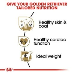 Royal Canin Golden Retriever Adult Dry Dog Food, 30 Lb Bag -Dog Supplies Store 510HZmijeoL