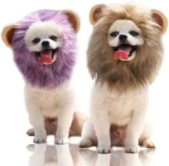Cat And Dog Hat Lion Transformation Hood Shiba Inu Corgi Teddy Bichon Pet Adjustable Velcro Hat Pet Accessories (Small, Purple) 13 Cat And Dog Hat Lion Transformation Hood Shiba Inu Corgi Teddy Bichon Pet Adjustable Velcro Hat Pet Accessories (Small, Purple) -Dog Supplies Store 510fHcEb9PL. AC 1