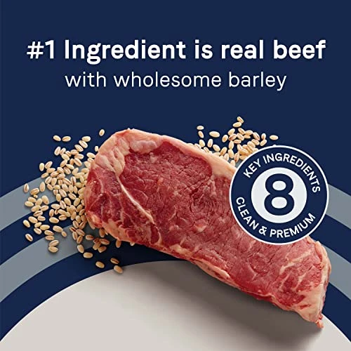 CANIDAE Pure Real Beef & Barley Recipe Adult Dry Dog 4 LB 2 CANIDAE Pure Real Beef & Barley Recipe Adult Dry Dog 4 LB - Image 2