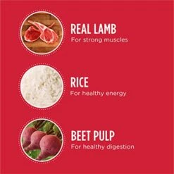 IAMS Large Breed Adult Dry Dog Food Lamb & Rice Recipe, 30 Lb. Bag -Dog Supplies Store 511uuJW4GrL