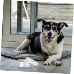 10pcs Tools Vessel Tools Threading Tool Dog Scent Training Kit Dog Scent Work Container Nose Work Dog Training Kit Dogs Scent Training Tool Dog Training Aroma Case Suite -Dog Supplies Store 514Ql44AJeL