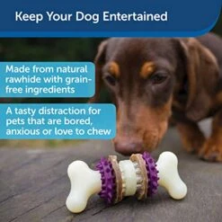 PetSafe Treat Rings - 16 Rings - Size B - Original & Busy Buddy Bristle Bone - Treat-Holding Toy For Dogs - Purple, Large -Dog Supplies Store 515jGR4ojiL