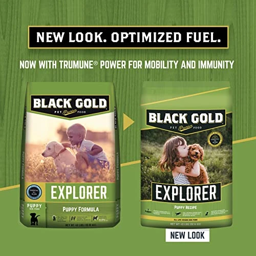 Black Gold Explorer Puppy Recipe Dry Dog Food, Chicken, 40 Pounds 3 Black Gold Explorer Puppy Recipe Dry Dog Food, Chicken, 40 Pounds - Image 3