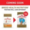 Royal Canin Poodle Puppy Breed Specific Dry Dog Food, 12.5 Lb. Bag