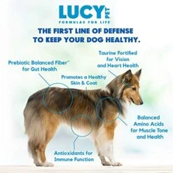 Lucy Pet Products Formulas For Life - Sensitive Stomach & Skin Dry Dog Food, All Breeds & Life Stages - Salmon, Pumpkin, & Quinoa, 12 Lb -Dog Supplies Store 517UsOeo2aL 1