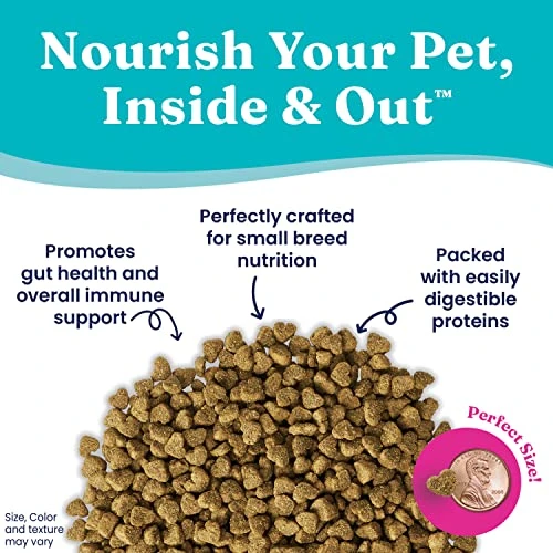 Solid Gold Mighty Mini Small Breed Dog Food - Dry Dog Food For Any Toy Breed - For Gut Health & Sensitive Stomach Support - Digestive Probiotics For Dogs - Grain & Gluten Free Recipe 2 Solid Gold Mighty Mini Small Breed Dog Food - Dry Dog Food For Any Toy Breed - For Gut Health & Sensitive Stomach Support - Digestive Probiotics For Dogs - Grain & Gluten Free Recipe - Image 2