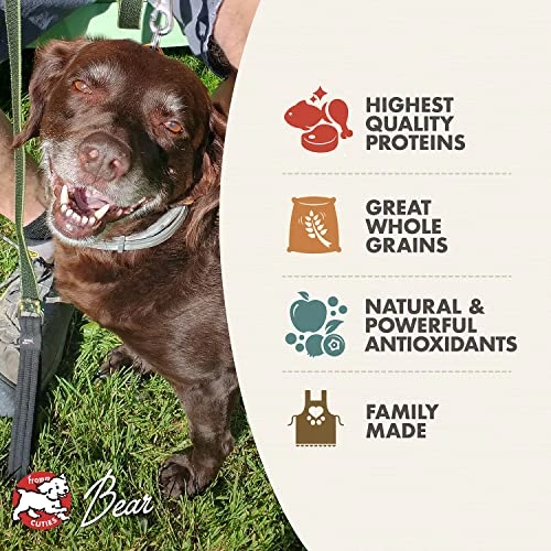 Fromm Classic Adult Dog Food - Premium Dry Dog Food For Large, Medium, & Small Breeds - Chicken Recipe - 30 Lb 2 Fromm Classic Adult Dog Food - Premium Dry Dog Food For Large, Medium, & Small Breeds - Chicken Recipe - 30 Lb - Image 2