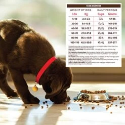 Holistic Select Natural Grain Free Dry Dog Food, Adult & Puppy Salmon, Anchovy & Sardine Recipe, 24-Pound Bag -Dog Supplies Store 51EHnq3hRNL