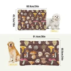 Poeticcity Mushrooms Natural Fungus Mushrooming Organic Food On Brown Dog Cat Bed Mat, Soft Crate Pad Mattress Cushion For Small Medium Pets, Anti Slip Sleeping Kennel Mat Washable & Dry 24x18 Inch 17 Poeticcity Mushrooms Natural Fungus Mushrooming Organic Food On Brown Dog Cat Bed Mat, Soft Crate Pad Mattress Cushion For Small Medium Pets, Anti Slip Sleeping Kennel Mat Washable & Dry 24x18 Inch -Dog Supplies Store 51EMCSfdK7L