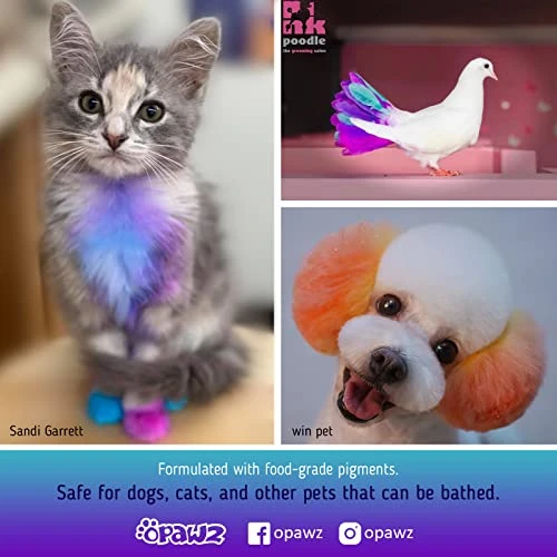 OPAWZ Semi-Permanent Dog Hair Dye, Food-Grade Pigment Dog Dye, Non-Toxic Pet Hair Dye For Dogs, Cats And All Pets Can Be Bathed (Dahlia Purple) 2 OPAWZ Semi-Permanent Dog Hair Dye, Food-Grade Pigment Dog Dye, Non-Toxic Pet Hair Dye For Dogs, Cats And All Pets Can Be Bathed (Dahlia Purple) - Image 2