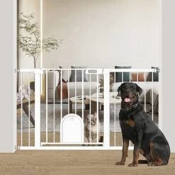Narrow Baby Gate With Cat Door Walk Through - 24.5" To 29.5" Wide Small Pet Gate For Puppy Dog Doorway Stair - Pressure Mounted Safety Child Gate Stand 30 Inches Tall -Dog Supplies Store 51F2eIXrKiL. AC