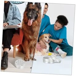 10pcs Tools Vessel Tools Threading Tool Dog Scent Training Kit Dog Scent Work Container Nose Work Dog Training Kit Dogs Scent Training Tool Dog Training Aroma Case Suite -Dog Supplies Store 51GlsmIfZxL