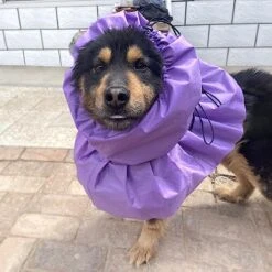 Waterproof Dog Rain Hat Snood Dog Waterproof Snood Dogs Long Snood Covers From Head To Shoulder Ear Protector Cap