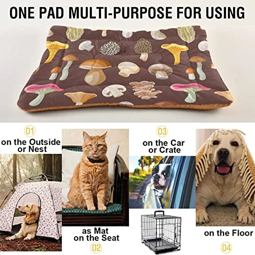 Poeticcity Mushrooms Natural Fungus Mushrooming Organic Food On Brown Dog Cat Bed Mat, Soft Crate Pad Mattress Cushion For Small Medium Pets, Anti Slip Sleeping Kennel Mat Washable & Dry 24x18 Inch 5 Poeticcity Mushrooms Natural Fungus Mushrooming Organic Food On Brown Dog Cat Bed Mat, Soft Crate Pad Mattress Cushion For Small Medium Pets, Anti Slip Sleeping Kennel Mat Washable & Dry 24x18 Inch - Image 5