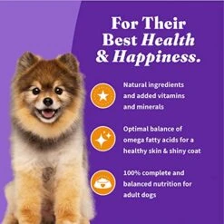 Halo Holistic Dog Food, Complete Digestive Health Cage-Free Chicken And Brown Rice Recipe, Dry Dog Food Bag, Small Breed Formula, 3.5-lb Bag -Dog Supplies Store 51JW0zRzhcL