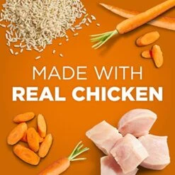 IAMS PROACTIVE HEALTH Adult Wet Dog Food Classic Ground With Chicken And Whole Grain Rice, 12-Pack Of 13 Oz. Cans -Dog Supplies Store 51MGDRB3uoL