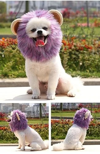 Cat And Dog Hat Lion Transformation Hood Shiba Inu Corgi Teddy Bichon Pet Adjustable Velcro Hat Pet Accessories (Small, Purple) 2 Cat And Dog Hat Lion Transformation Hood Shiba Inu Corgi Teddy Bichon Pet Adjustable Velcro Hat Pet Accessories (Small, Purple) - Image 2