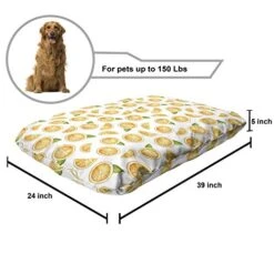 Ambesonne Orange Pet Bed, Watercolor Slices Of Orange Fruit With Green Leaves Fresh Ripe Juicy Food, Chew Resistant Pad For Dogs And Cats Cushion With Removable Cover, 24" X 39", Orange Green White -Dog Supplies Store 51OiktQXONL