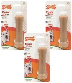 Nylabone (3 Pack) Dura Chew Bacon Flavored Bone - Size Regular
