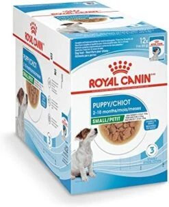 Royal Canin Small Adult Wet Dog Food, 3 Oz,12-count -Dog Supplies Store 51R4HbTlcYL. AC
