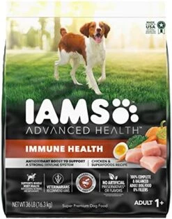 Iams Advanced Health Immune Health Chicken & Superfoods Recipe Adult Dry Dog Food, 13.5 Lb. Bag -Dog Supplies Store 51RhjJmqj1L. AC